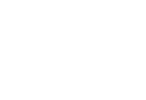 alm-events-Logo-weiß-transparent